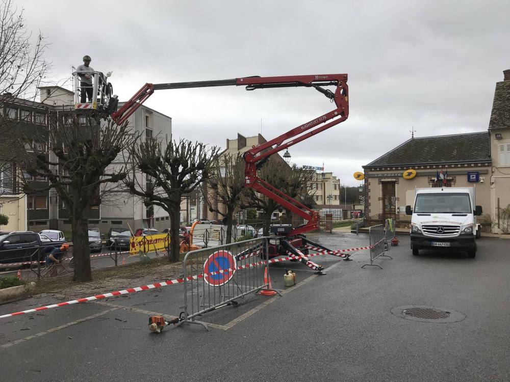 lagage arbre